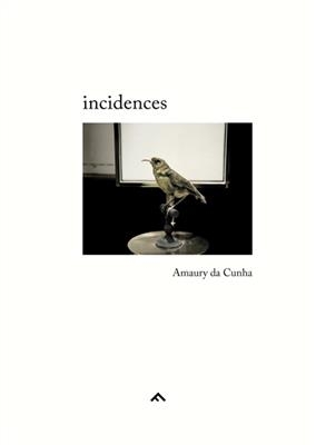 Incidences - Amaury (1976-....) Da Cunha