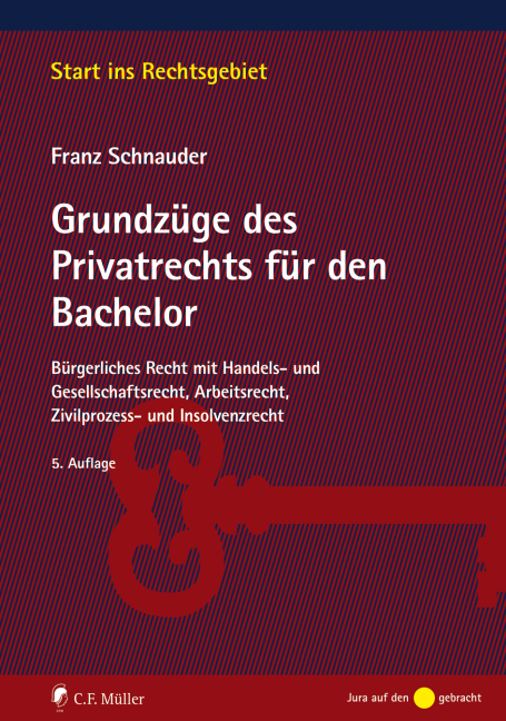 Grundzüge des Privatrechts für den Bachelor - Franz Schnauder