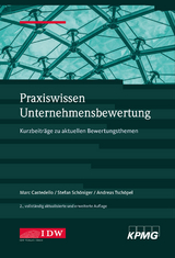 Praxiswissen Unternehmensbewertung, 2. Aufl. - Castedello, Marc; Schöninger, Stefan; Tschöpel, Andreas
