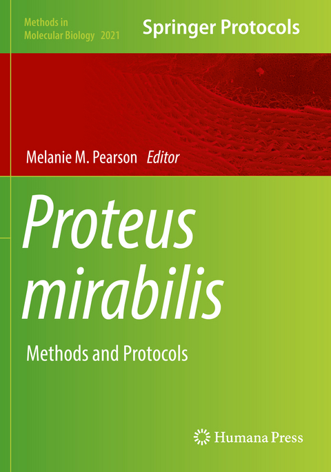 Proteus mirabilis - 