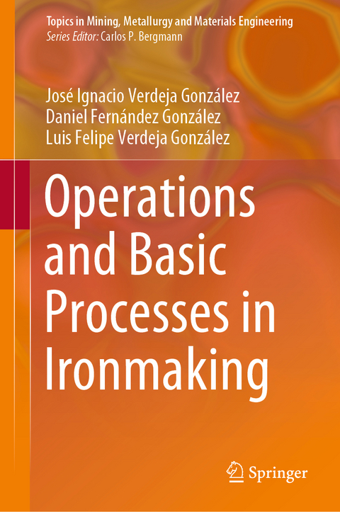 Operations and Basic Processes in Ironmaking - José Ignacio Verdeja González, Daniel Fernández González, Luis Felipe Verdeja González