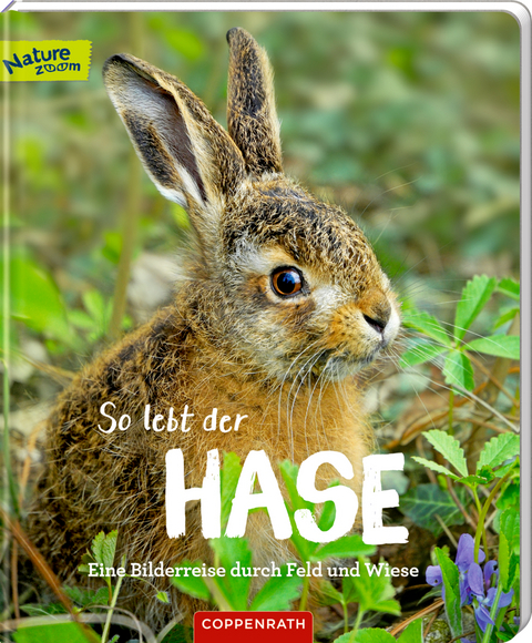 So lebt der Hase - Sandra Noa