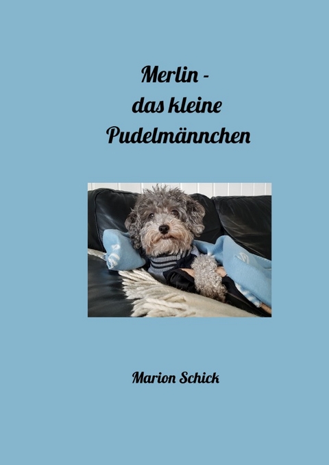 Merlin - das kleine Pudelmännchen - Marion Schick