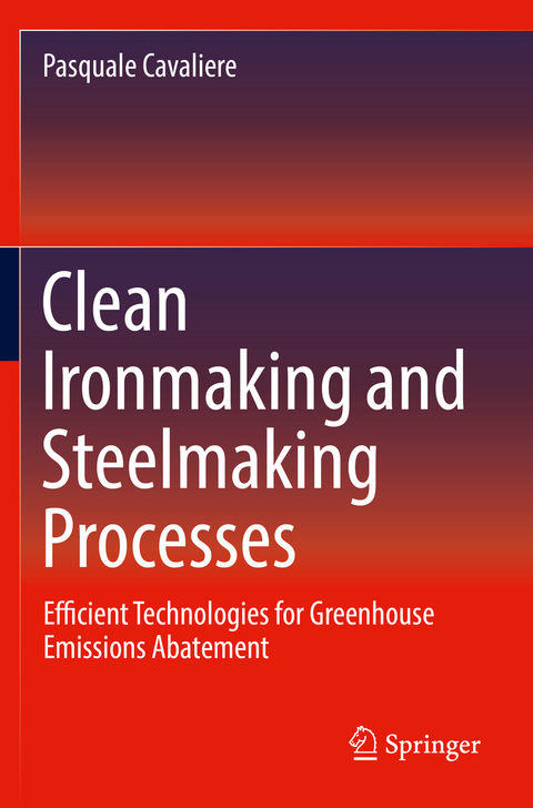 Clean Ironmaking and Steelmaking Processes - Pasquale Cavaliere