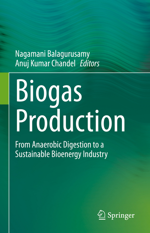 Biogas Production - 