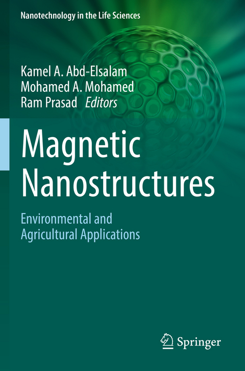 Magnetic Nanostructures - 