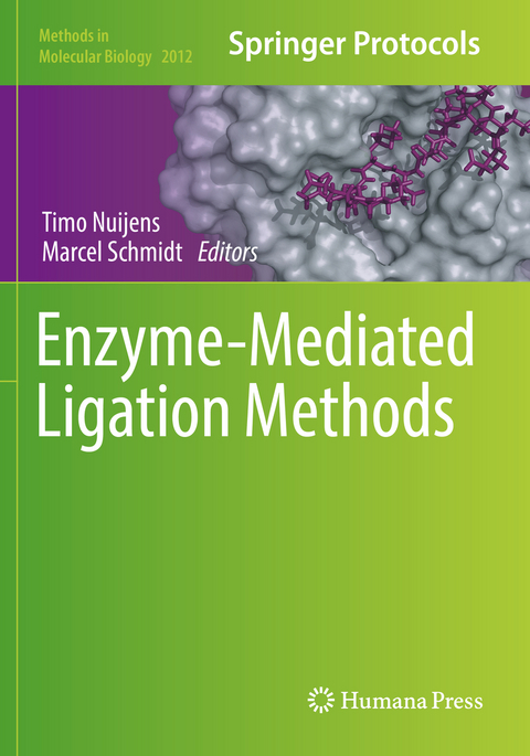 Enzyme-Mediated Ligation Methods - 