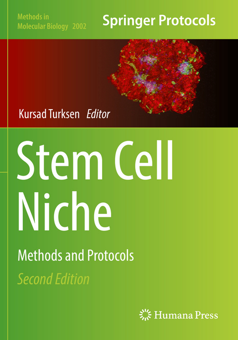 Stem Cell Niche - 