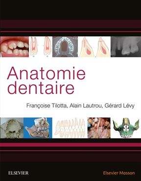 Anatomie dentaire - Françoise Tilotta, Alain Lautrou, Gérard Lévy