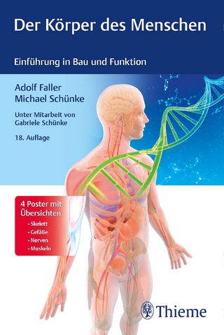 Physiotherapie Ausbildung Prufung Bucher Ebooks Mehr Versandkostenfrei Online Kaufen Lehmanns De