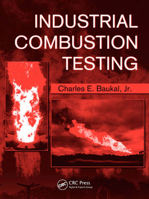 Industrial Combustion Testing - 