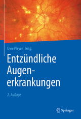 Entzündliche Augenerkrankungen - Pleyer, Uwe