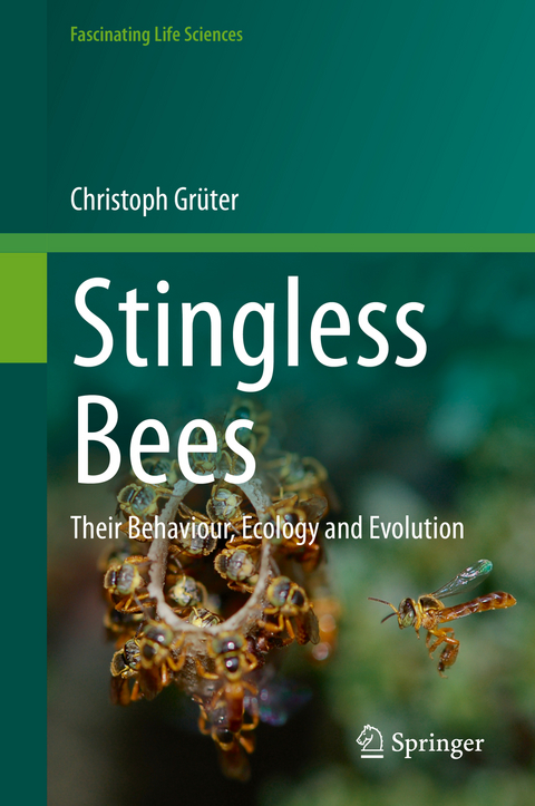 Stingless Bees - Christoph Grüter