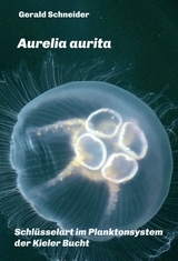 Aurelia aurita - Schneider, Gerald