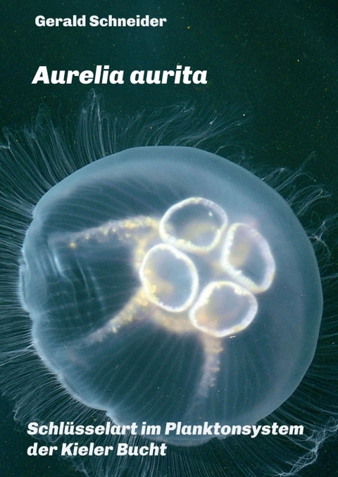 Aurelia aurita - Gerald Schneider