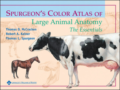 Spurgeon's Color Atlas of Large Animal Anatomy -  Robert A. Kainer,  Thomas O. McCracken,  Thomas L. Spurgeon