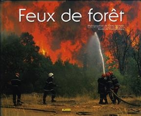 Feux de forêt - Rémy (1966-....) Michelin