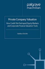 Private Company Valuation - G. Oricchio