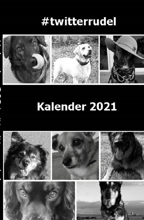 Kalender 2021 Taschenbuch Softcover - #twitterrudel Die coolen Dogs im Internet