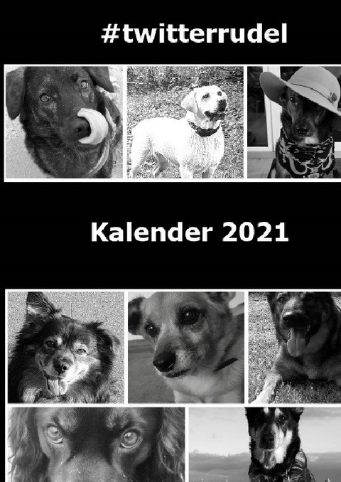 Kalender 2021 A5 Hardcover - #twitterrudel Die coolen Dogs im Internet