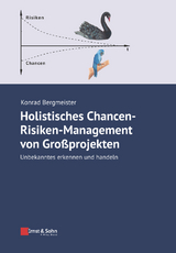 Holistisches Chancen-Risiken-Management von Großprojekten - Konrad Bergmeister