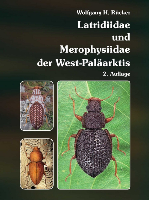 Latridiidae und Merophysiidae der West-Paläarktis - Wolfgang H. Rücker