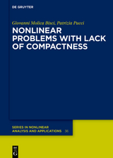 Nonlinear Problems with Lack of Compactness - Giovanni Molica Bisci, Patrizia Pucci