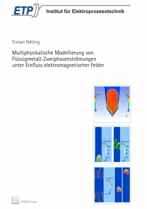 Multiphysikalische Modellierung von Flüssigmetall-Zweiphasenströmungen unter Einfluss elektromagnetischer Felder - Tristan Fehling