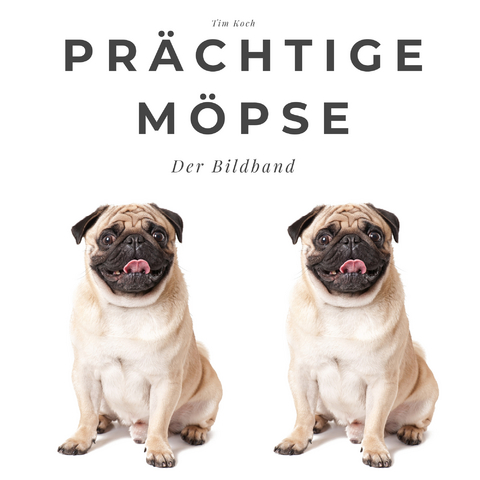 Prächtige Möpse - Tim Koch