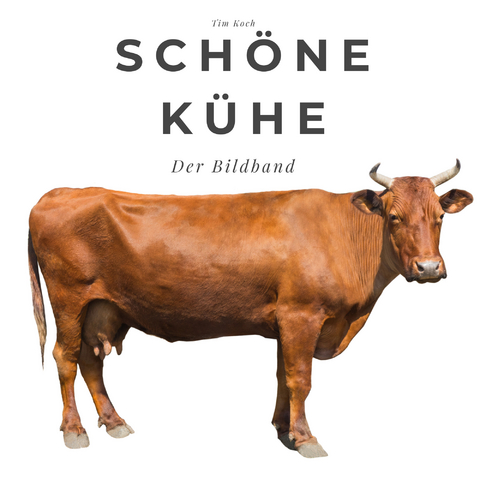 Schöne Kühe - Tim Koch