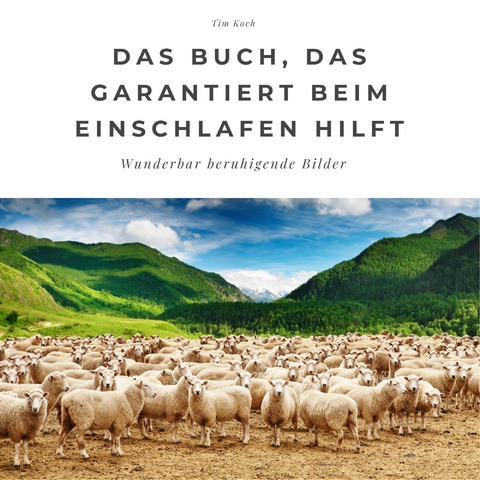 Das Buch, das garantiert beim Einschlafen hilft - Tim Koch