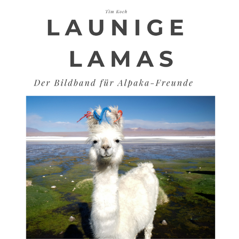 Launige Lamas - Tim Koch