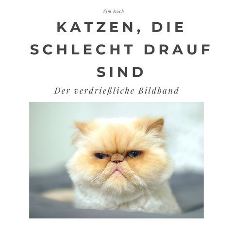 Katzen, die schlecht drauf sind - Tim Koch