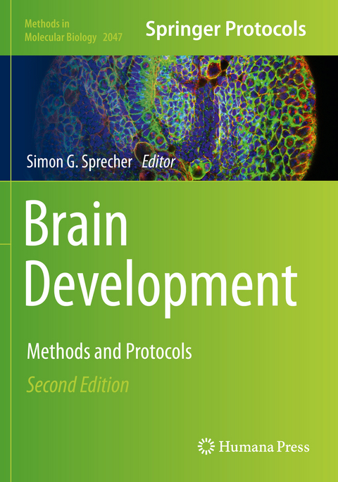 Brain Development - 