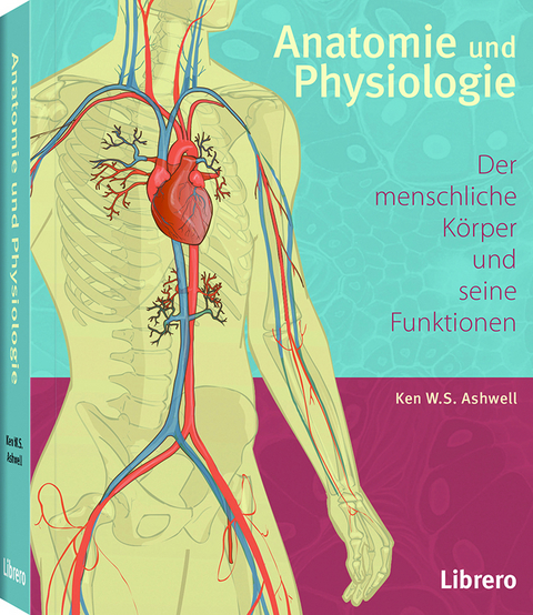 Anatomie und Physiologie - Ken Ashwell