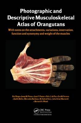 Photographic and Descriptive Musculoskeletal Atlas of Orangutans -  Julia Arias-Martorell,  Felix J. de Paz,  Mohammed Ashraf Aziz,  Mercedes Barbosa,  Gaelle Bello,  Rui Diogo,  Eva M. Ferrero,  Juan F. Pastor,  Josep M. Potau,  Bernard Wood