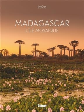 Madagascar : l'île mosaïque - Marie-Hélène Paturel, Lionel Montico