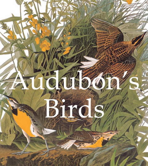Audubon's Birds -  Audubon John James Audubon