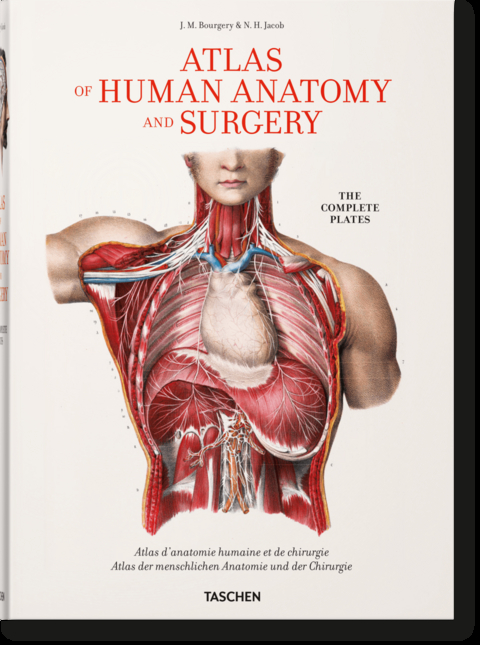 Bourgery. Atlas of Human Anatomy and Surgery von Jean-Marie Le Minor