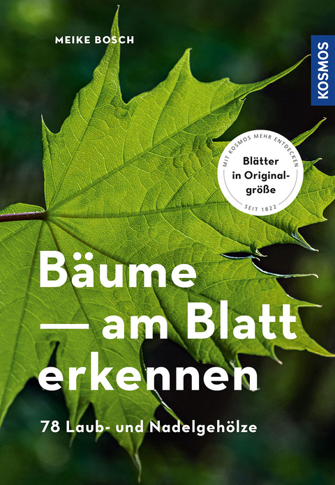 Bäume am Blatt erkennen - Meike Bosch