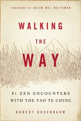 Walking the Way -  Robert Rosenbaum