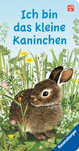 Ich bin das kleine Kaninchen - Gerlinde Wiencirz