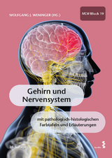 Gehirn und Nervensystem - Hainfellner, Paul; Rommer, Paul