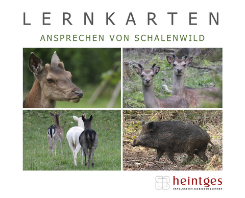 Lernkarten Ansprechen von Schalenwild - 