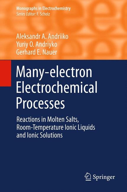 Many-electron Electrochemical Processes - Aleksandr A. Andriiko, Yuriy O Andriyko, Gerhard E. Nauer