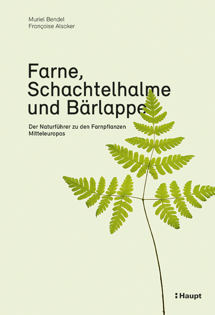 Farne, Schachtelhalme und Bärlappe - Muriel Bendel