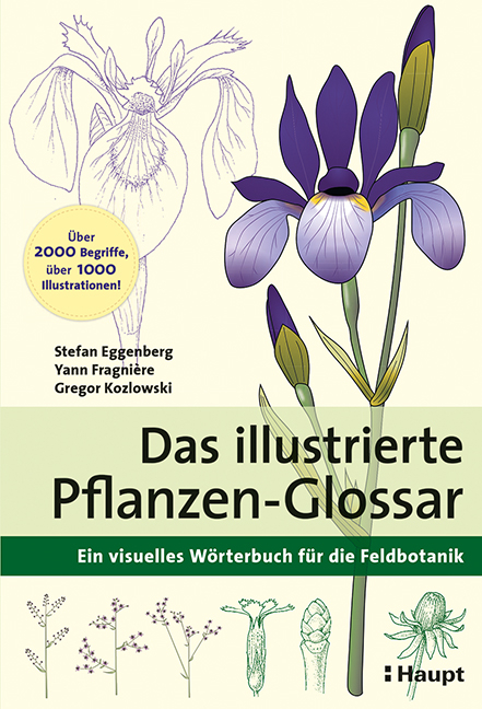 Das illustrierte Pflanzen-Glossar - Stefan Eggenberg, Yann Fragnière, Gregor Kozlowski
