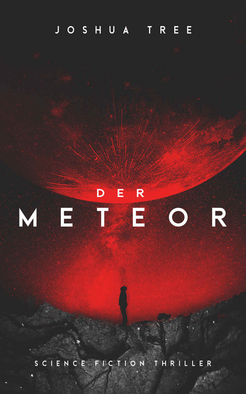 Der Meteor - Joshua Tree