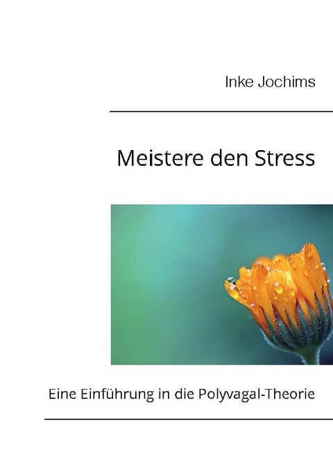 Meistere den Stress - Inke Jochims