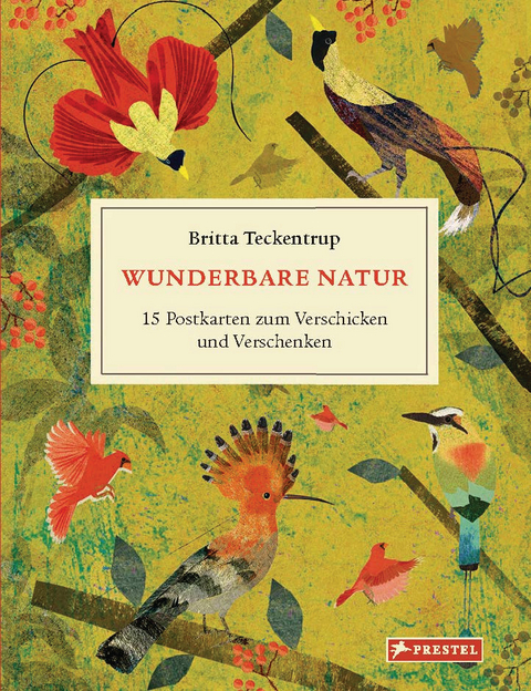 Wunderbare Natur - Britta Teckentrup